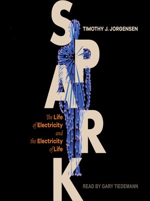 Spark - Audiobook